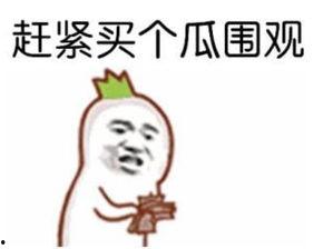 吃瓜群众网站怎么进去,一探究竟的神秘入口